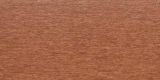 GOLDEN OAK DARK 5303